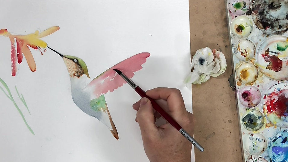 Hummingbird Lesson